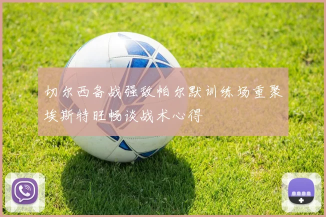 切尔西备战强敌帕尔默训练场重聚埃斯特旺畅谈战术心得