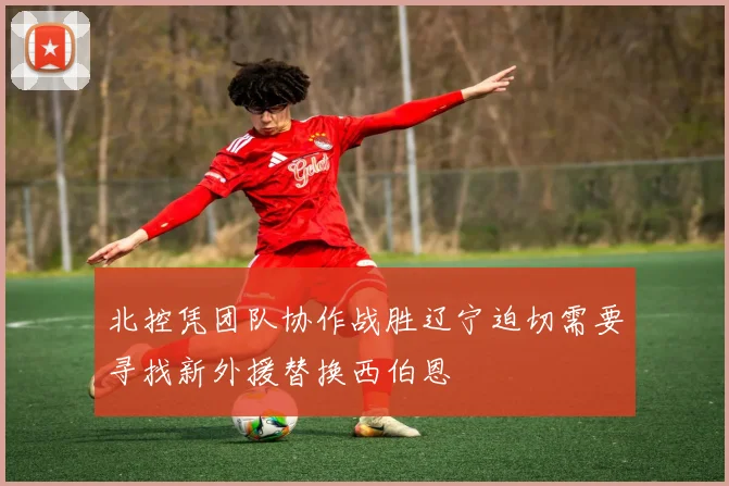 北控凭团队协作战胜辽宁迫切需要寻找新外援替换西伯恩