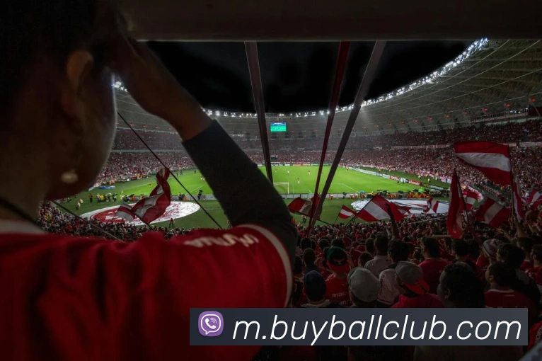 多媒体互动体验